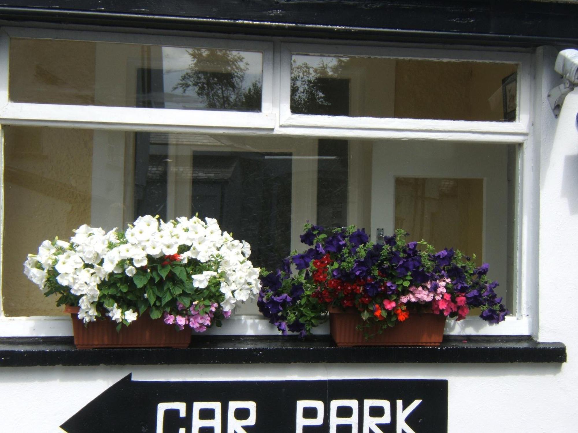 Faythe Guesthouse Wexford Luaran gambar
